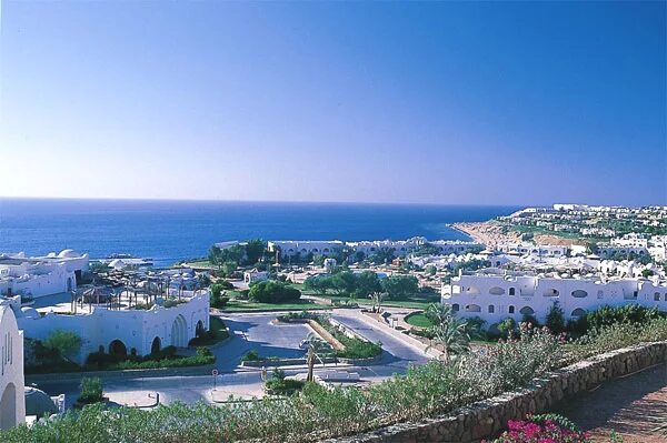 Sharm el sheikh domina coral bay harem deluxe 5*. Domina coral bay harem 5 египет. Бодрум турция астерия. Domina coral bay prestige sea 5. Domina coral bay отель в египте.
