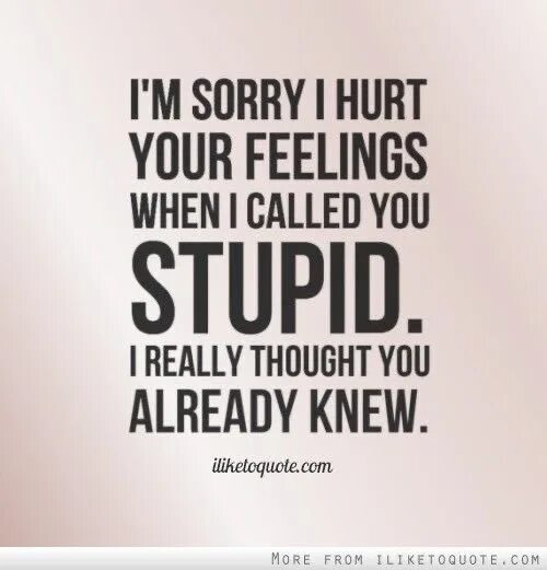 When you hurt i hurt. Stupid quotes. Quotes about feelings. You stupid. Enjoy your stupid Life цитата.