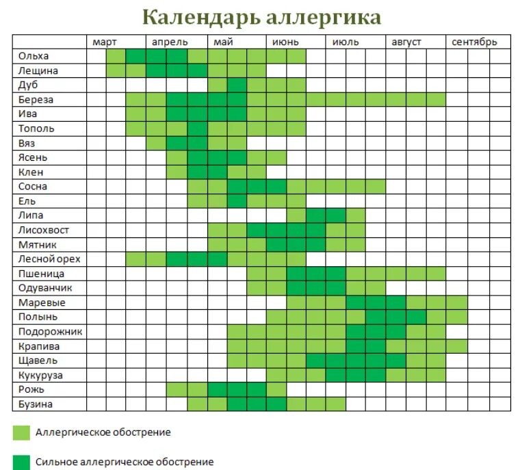 Таблица аллергии на цветение. График цветения растений для аллергиков. Календарь цветения в Москве для аллергиков. Календарь аллергика цветения растений-аллергенов. Прогноз пыльцы для аллергиков