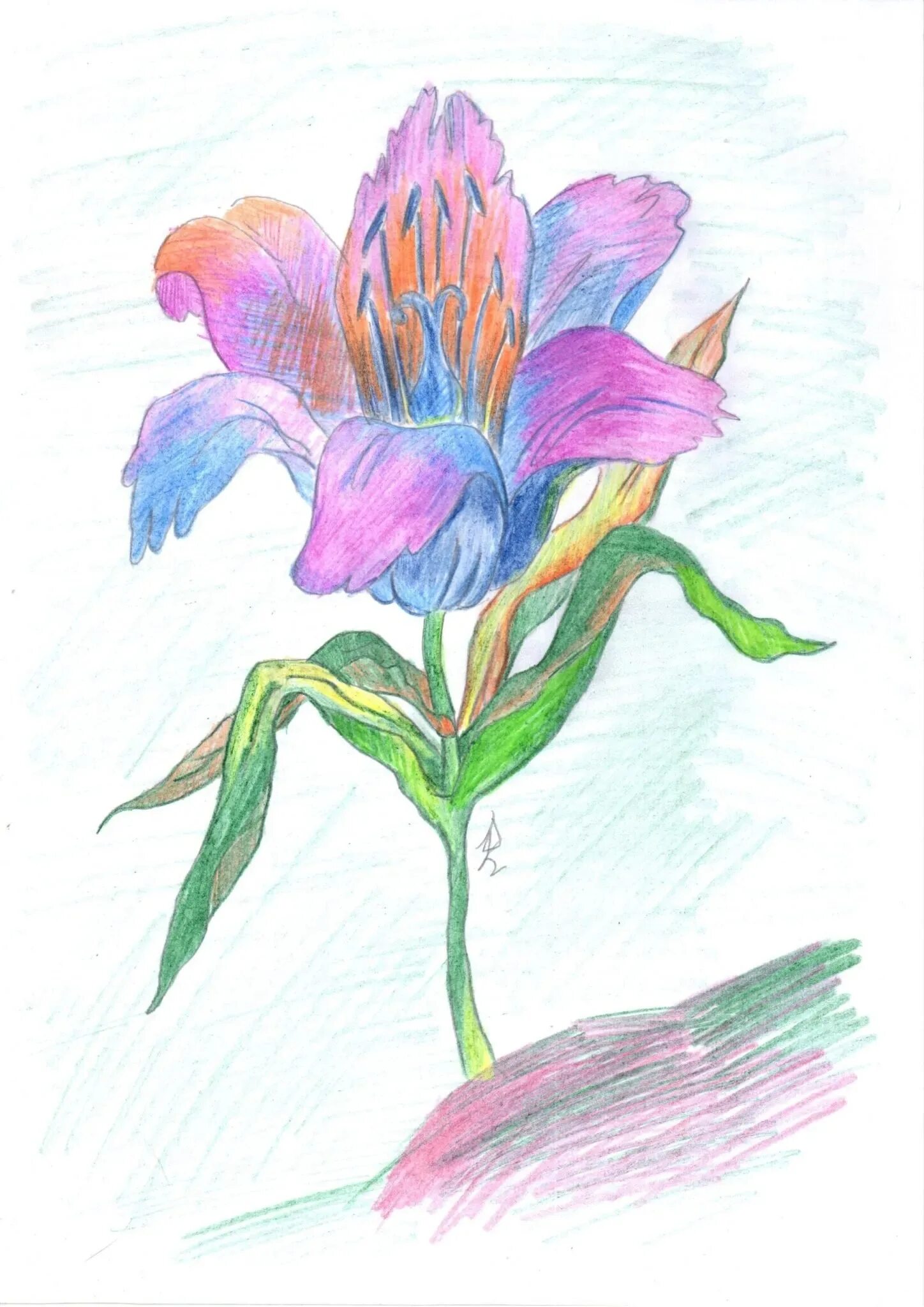 Изображение цветов 6 класс. Платонов а. "неизвестный цветок". Проиллюстрируйте неизвестный цветок Платонов. Рисунок к рассказу неизвестный цветок Платонов.