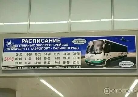 Автобус 244 калининград храброво. Расписание автобуса 244 калининград-аэропорт храброво. Автобус 244э калининград остановки расписание. Автобус 244э калининград остановки расписание. Автобус 244э калининград остановки расписание.