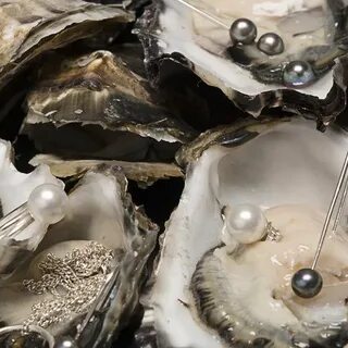 Pearl sea shop