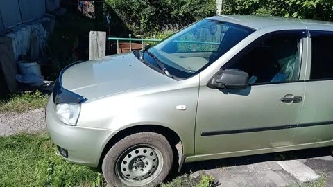 502 дыня