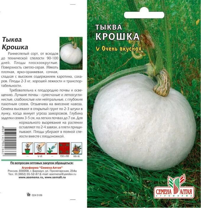Скороспелые сорта тыквы. Тыква кустовая сорта для урала для открытого грунта. тыква крошка 2гр.. тыква кустовая семена. тыква кустовая сорта для сибири.