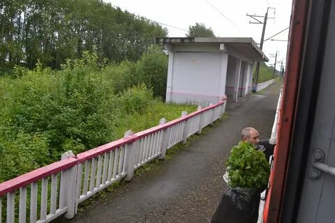 Погода в качканаре на неделю