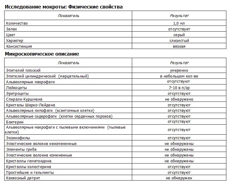 Интерпретация мокроты. Анализ мокроты микроскопическое исследование. микроскопическое исследование мокроты норма. показатели мокроты в норме. микроскопия мокроты норма.