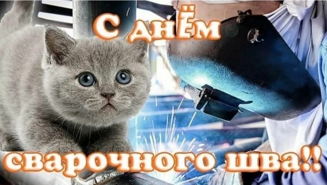 Мемы дни праздники. С днем мемы. поздравление с днем цемента. с днем дня мемы. с днем сварочного шва.