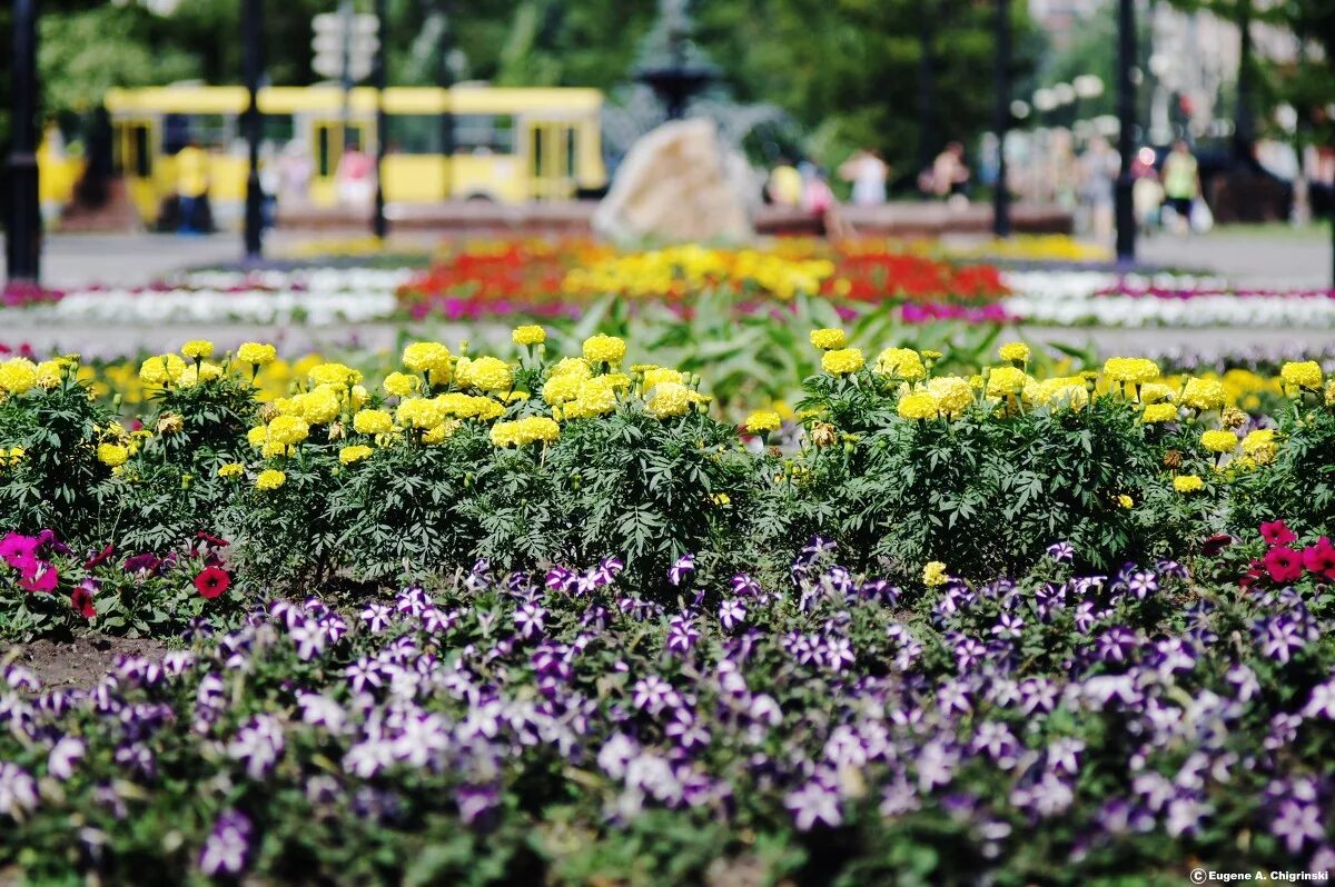 красина 1 омск. омск улица садовая. воробьевы горы вид на музеон. омск улица спортивная. музей м.