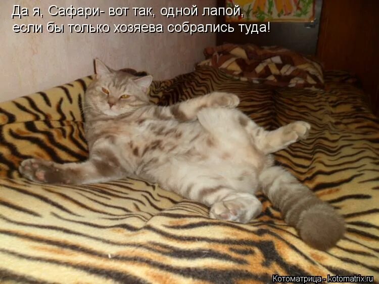 собираетесь туда