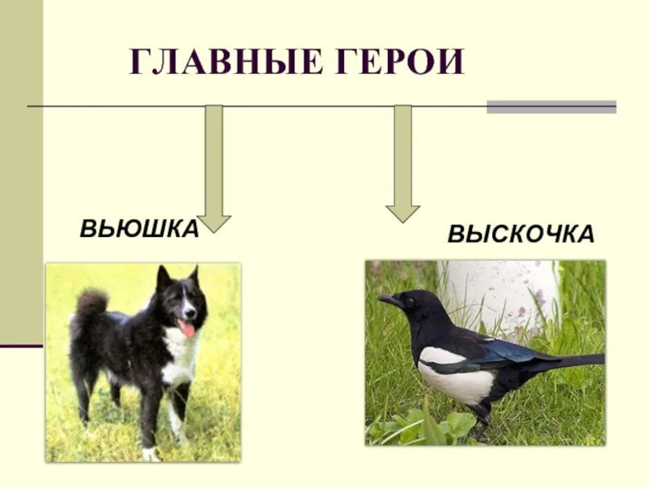 М пришвин выскочка тема. М М пришвин выскочка. Произведения Пришвина выскочка. М пришвин выскочка главные герои.