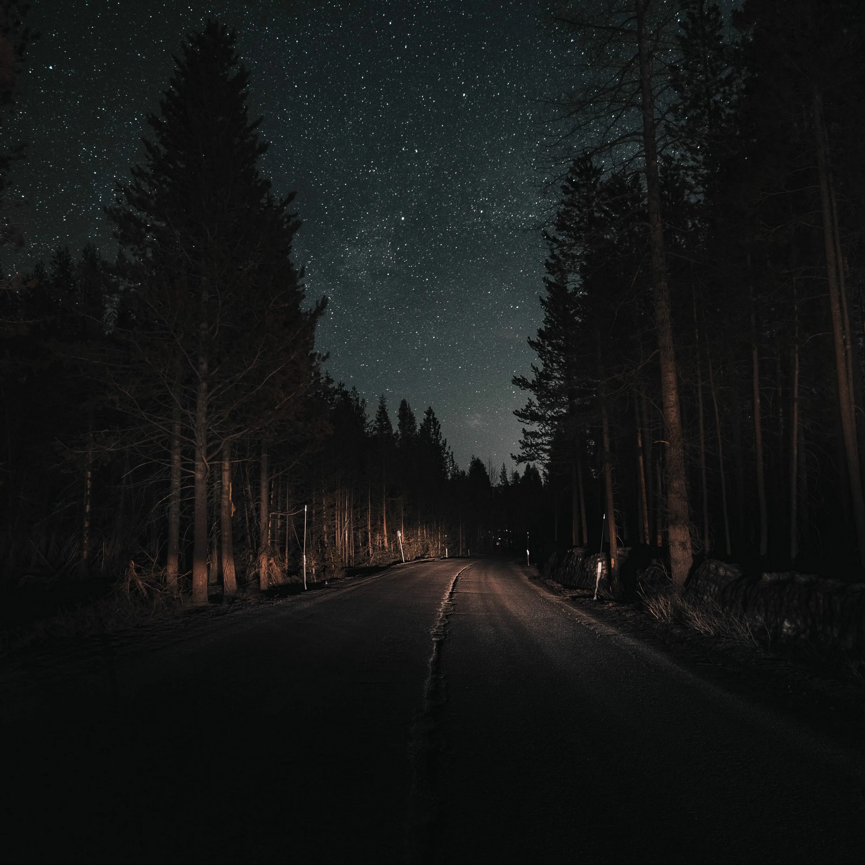 Ночь переслала. Лесная дорога ночью. Ночной лес. «Ночь в лесу». Дорога в лесу ночью.