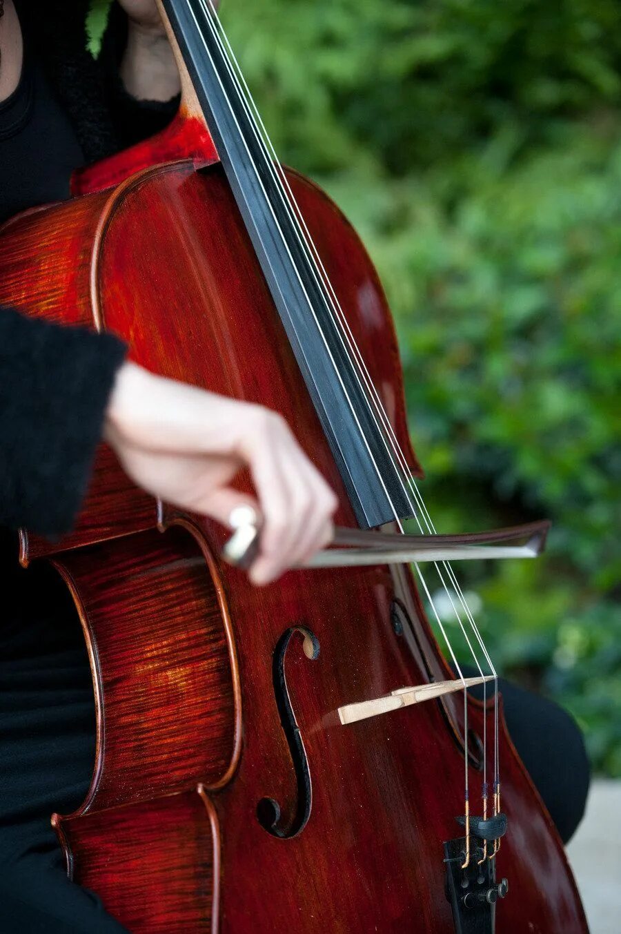 Violin cello. Виолончель (chello hongmijoo ilga salinsagan, 2005). Скрипка. Контрабас музыкальный инструмент. Cello музыкальный инструмент.