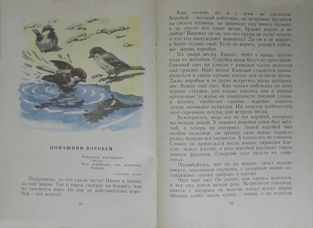 Рассказы ждановы дзен воробушек глава. Рассказ про воробья. Сказка рассказанный в Оробей. Воробей Лев Николаевич толстой книга.