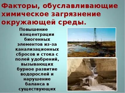 Сообщение на тему химическое загрязнение