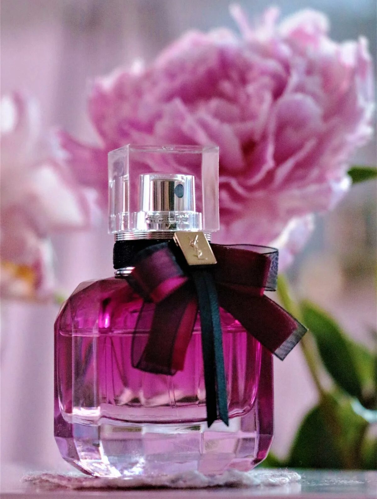 Mon paris intensement. Духи ивсералан мон париж. ysl mon paris intensement. mon paris ysl edp. yves saint laurent mon paris пирамида.