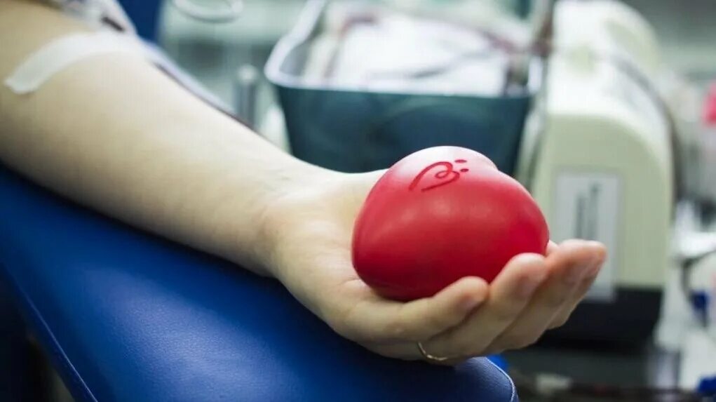 Пункты доноров крови. Донор крови. Переливание крови в Ростове.