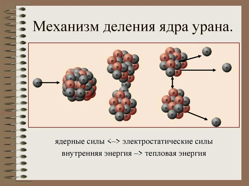 Цепные ядерные реакции деление урана. Деление ядер урана цепная реакция кластер. Схема цепной ядерной реакции урана. Деление ядер урана цепная реакция 9 класс. Цепная реакция деления ядер это физика.