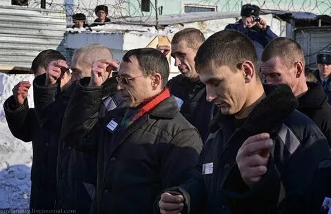 Ик 41
