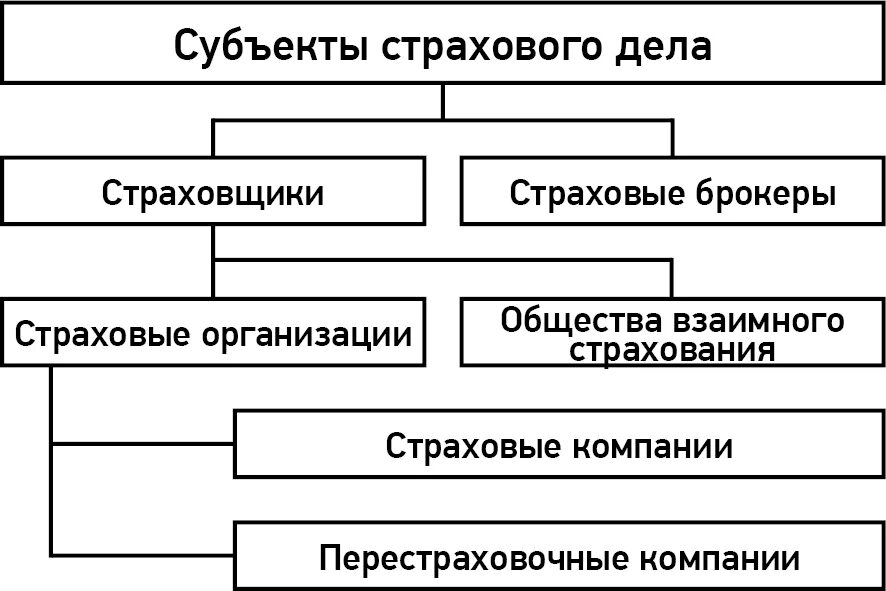 Субъекты страхового договора. Основные субъекты страхового дела. Субъекты страхового дела схема. Субъекты страховой деятельности. Охарактеризуйте субъекты страхования.