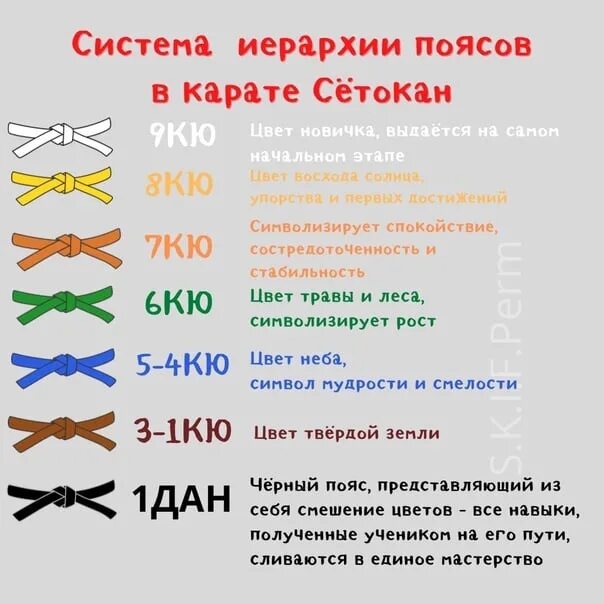 Что значит пояс в карате. Что значит пояс в карате. Каратэ киокусинкай пояса по порядку цвета. Пояса и кю в каратэ киокушинкай. Пояс на 9 кю киокушинкай каратэ.