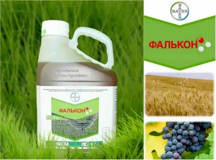 Солигор фунгицид
