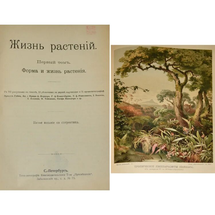 Жизнь растений том 3. Кернер фон Марилаун, а. - жизнь растений. Жизнь растений 2 том кернер. Кернер жизнь растений 1903. Жизнь растений книга.