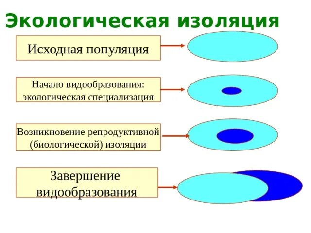 Экологическая изоляция. Экологическая изоляция популяции. Экологическая изоляция примеры. Экологическое видообразование. Возникновение экологической изоляции