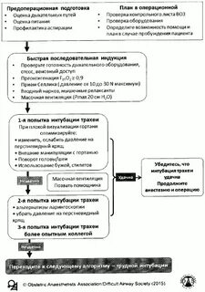 Приказ 919н от 15.11 2012 анестезиология