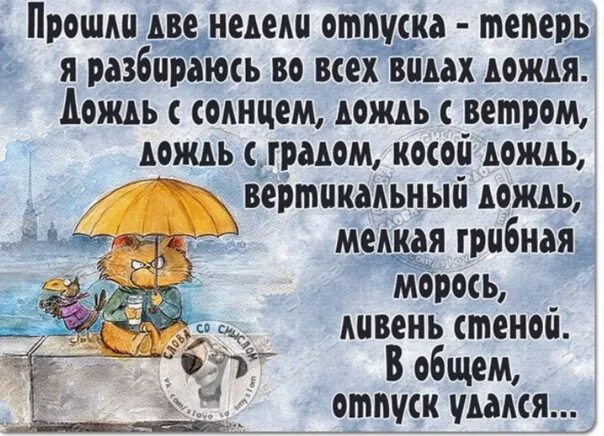 То есть целый день будет дождь. Отпуск в дождливую погоду. Смешные статусы про плохую погоду. Статусы про дождливую погоду прикольные. Плохая погода в отпуске.