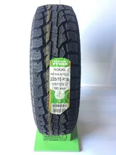 Nokian 225 r16