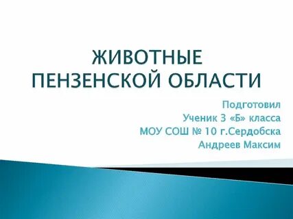 Пензенская область презентация