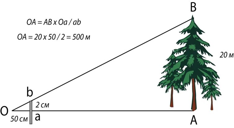 1 1000 угла. Измерение угловой величины предмета. Определение высоты объекта на местности. Угловая величина объекта. Угловые величины.