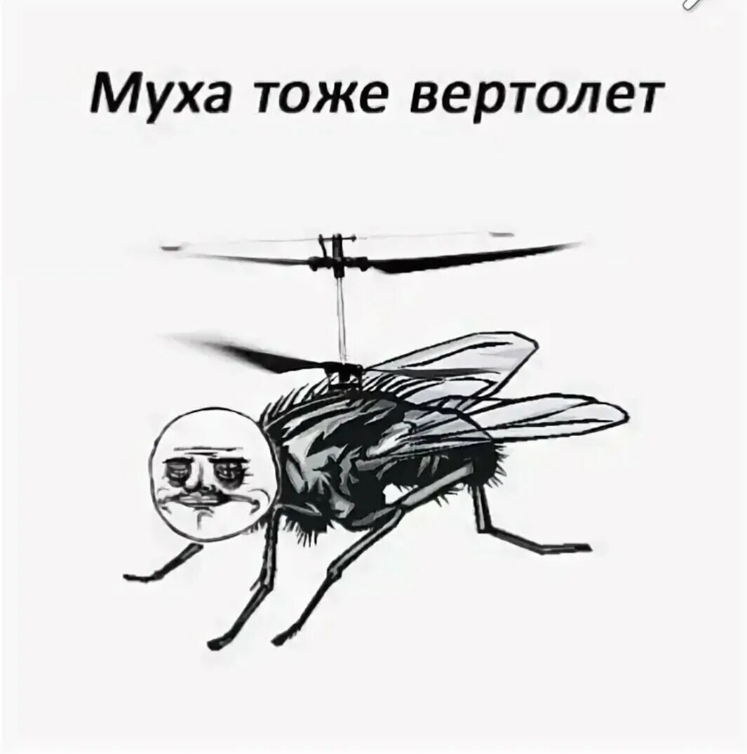 Словно муха. А Муха тоже вертолет. Муха вертолет. А Муха тоже вертолёт но без коробки передач.