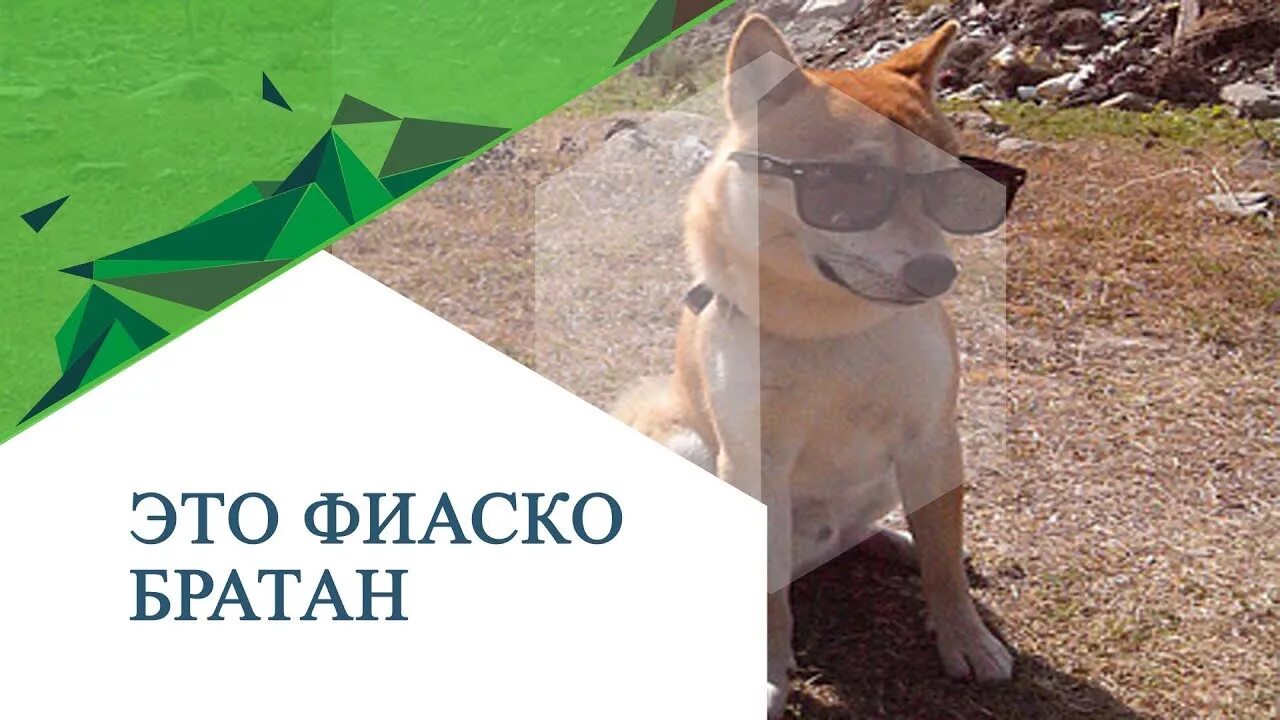 Fiasco. Фиаско картинки. Фиаско надпись. Это фиаско мем. Fiasco.