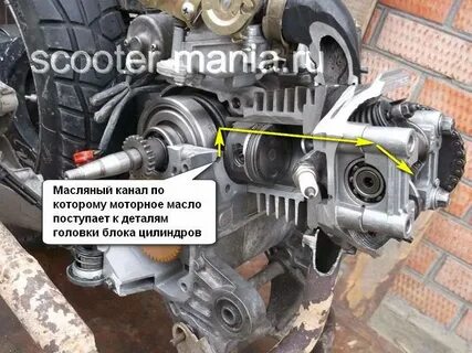Где находится мопед