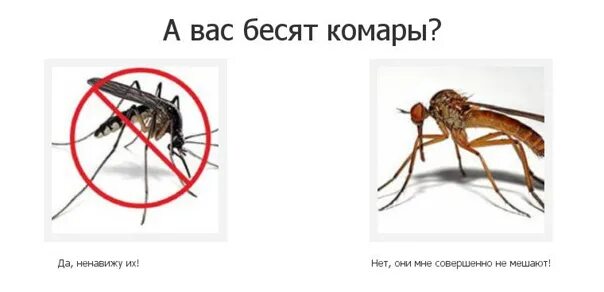 Что делать если в комнате комар ночью. Ненавижу комарв. бешеный комар. комары бесят ночью.