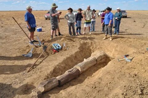 Digging site