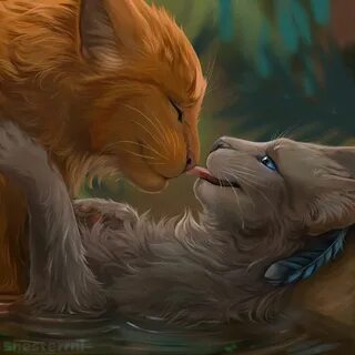 Коты воители пары