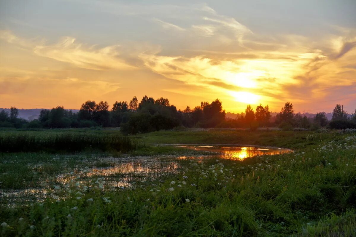 Луг вечером. Вспыхнет зарницею вечер. Вспыхнет зарницею вечер. Летний рассвет. Туманное утро.