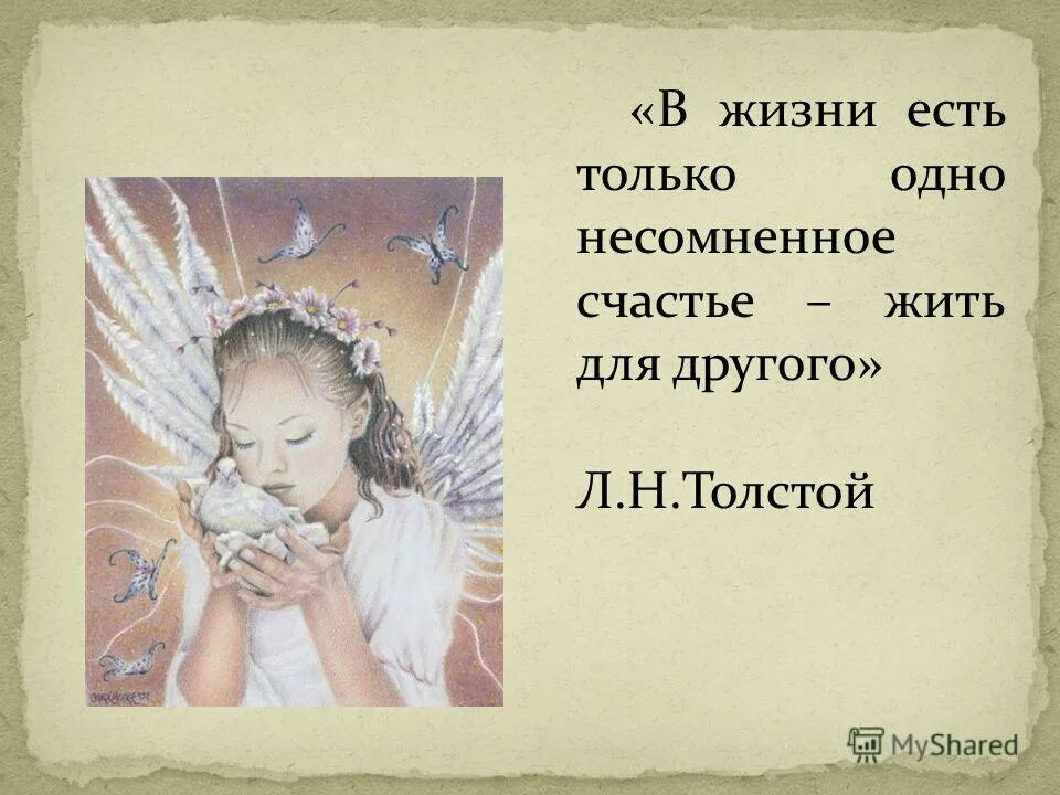 несомненная удача