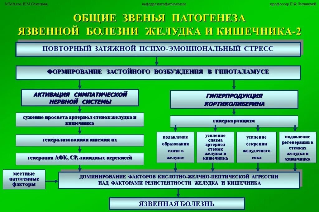 Желчный стресс. Этиология язва желудка схема. Этиопатогенез язвенной болезни желудка. Основные звенья патогенеза язвенной болезни. Язвенная болезнь этиология и патогенез.