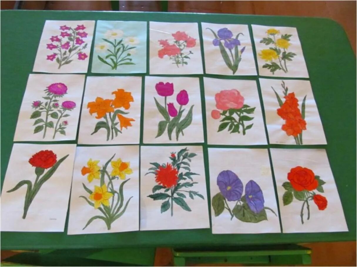 Дидактические игры на тему цветы. Цветы старшая группа. Цветы средняя группа. Рисование цветов в старшей группе. Цветы младшая группа.