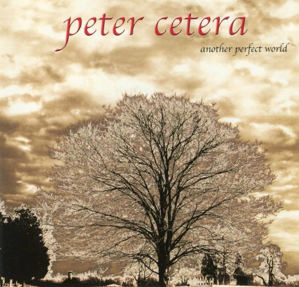 Peter world. Peter cetera. питер сетера альбомы. peter cetera one clear voice. solitudesolitaire питер сетера.