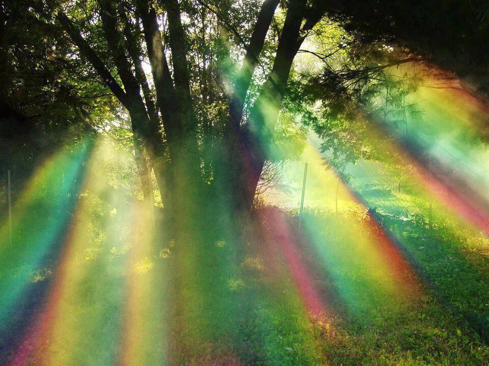 Свет в повседневной жизни. Радуга в природе. Радужные лучи. Пейзаж с радугой. Радуга в реальной жизни.