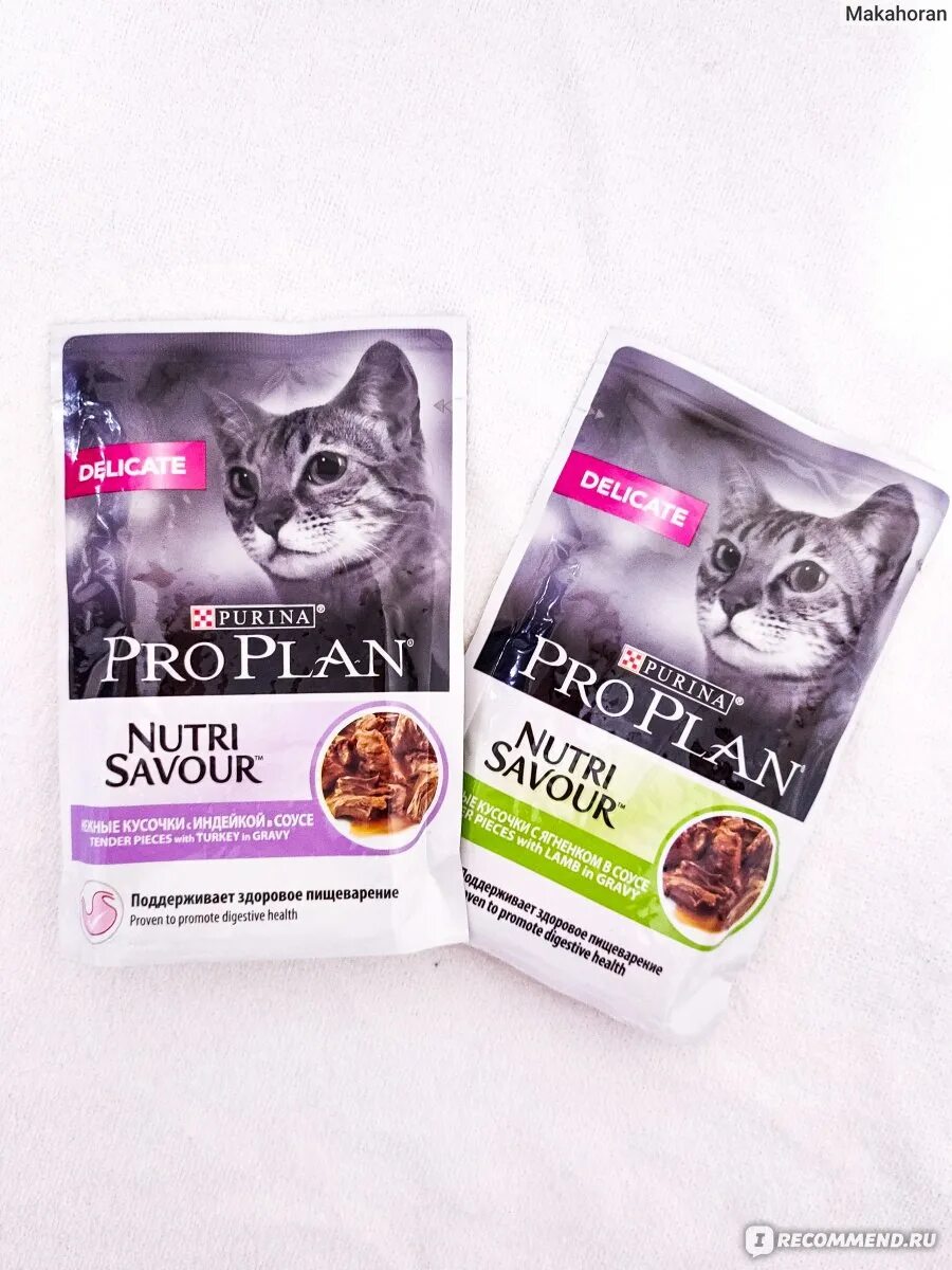 Влажный корм для кошек Пурина Проплан. Purina Pro Plan для котят влажный. Пурина Проплан для кошек с чувствительным пищеварением влажный. Влажный корм Purina Pro Plan delicate. Корм для кошек hypoallergenic pro plan