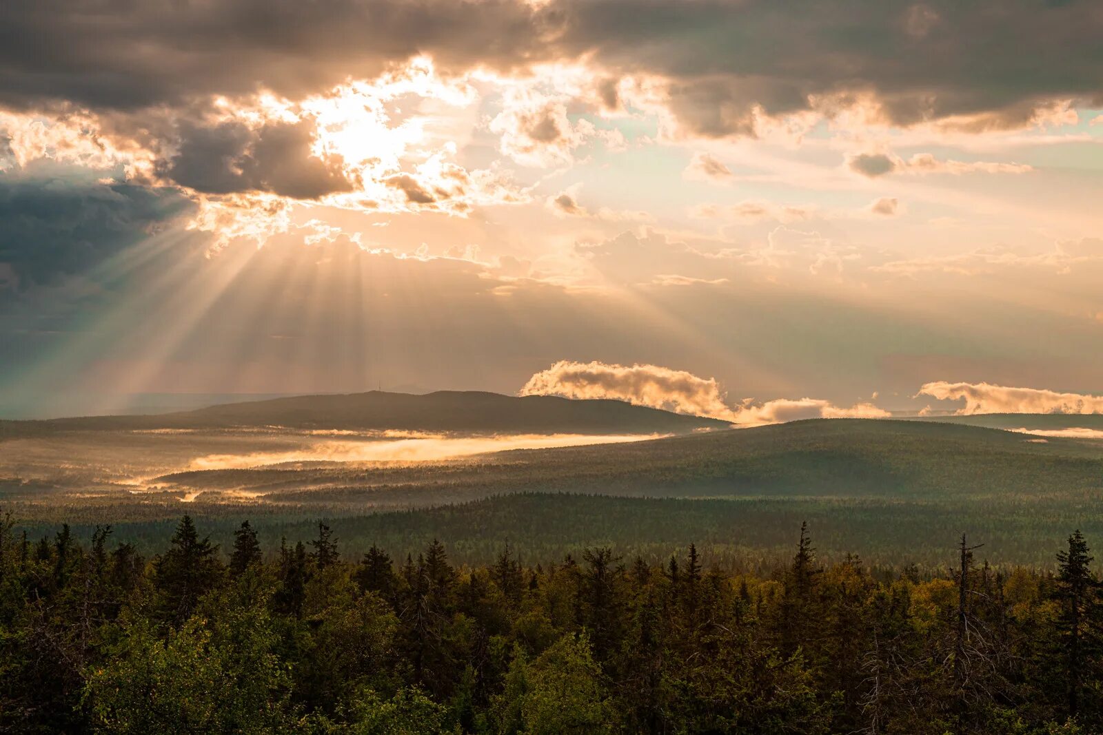 северный уральский. природа северного урала. северный уральский. северный уральский. река ивдель, северный урал.