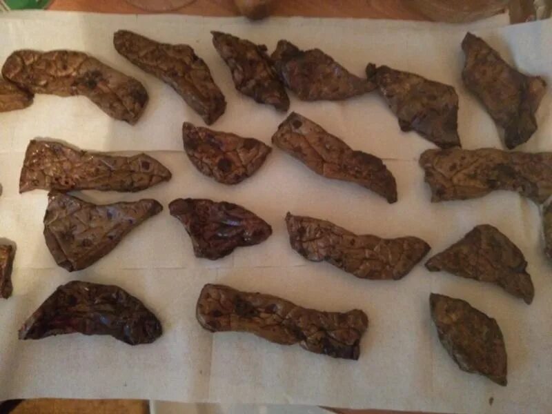 Плесень на лакомстве для собак. Лакомство для дрессуры. Как высушить легкое. Легкое говяжье сушеное для собак. Сушеное легкое.