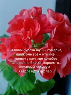 Хэерле иртэ белэн туганнарым