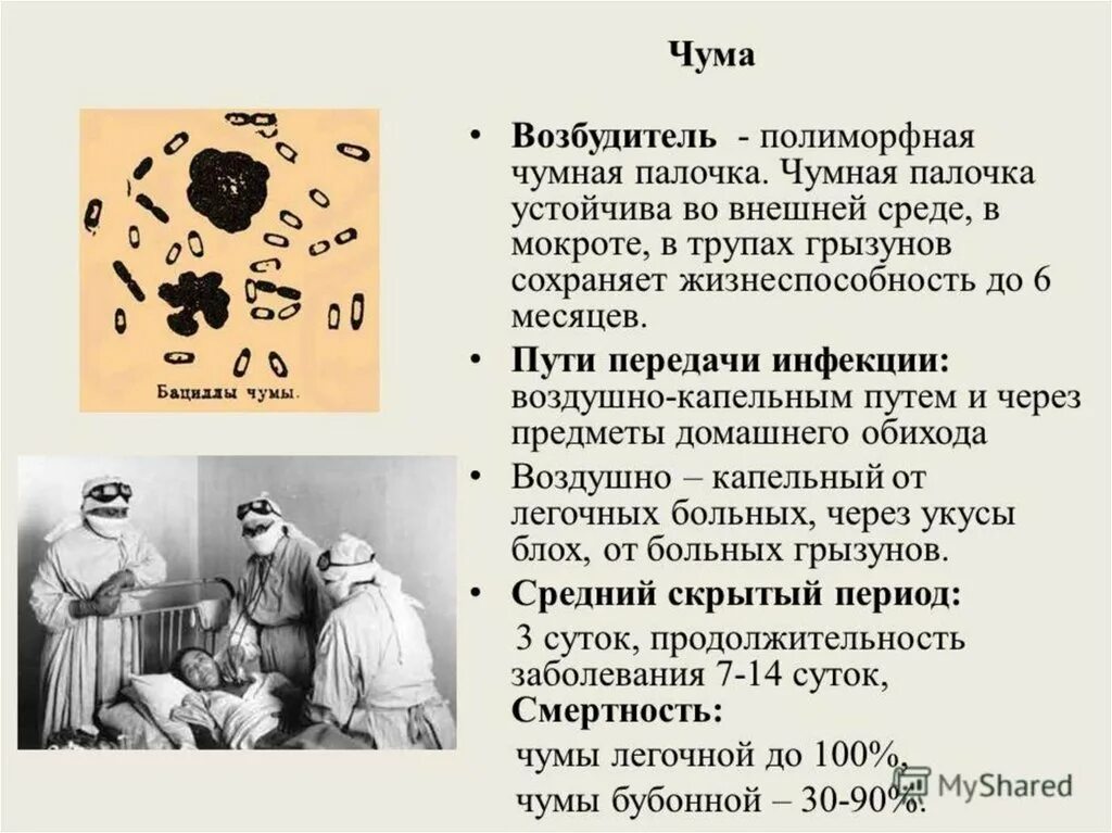 Чума заболевание вызываемые бактериями