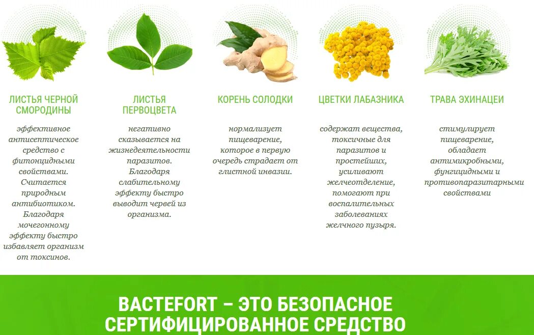 Какие растения выводят